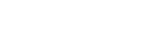 Snaptik IG 